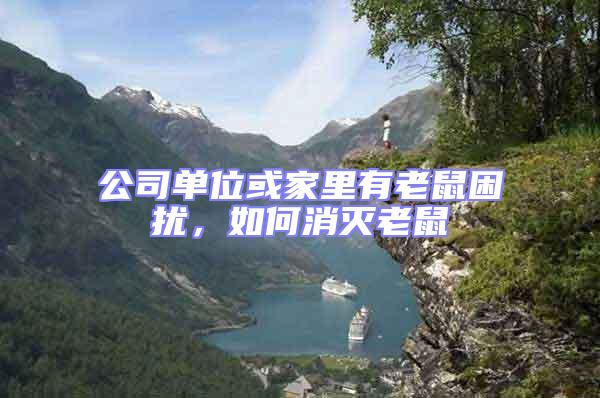 公司單位或家里有老鼠困擾，如何消滅老鼠