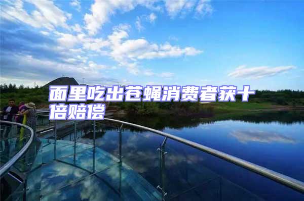 面里吃出蒼蠅消費者獲十倍賠償