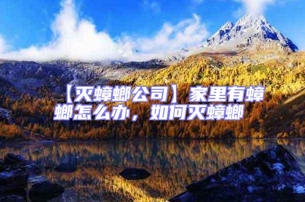 【滅蟑螂公司】家里有蟑螂怎么辦,如何滅蟑螂