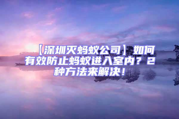【深圳滅螞蟻公司】如何有效防止螞蟻進入室內？2種方法來解決！