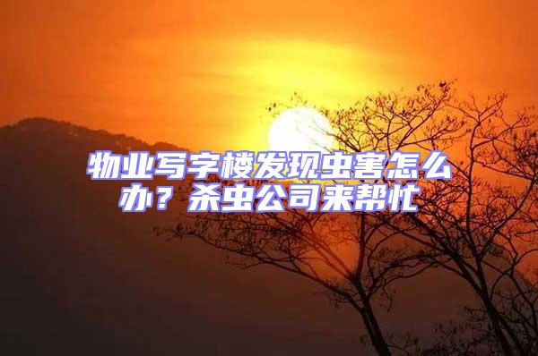 物業寫字樓發現蟲害怎么辦?殺蟲公司來幫忙