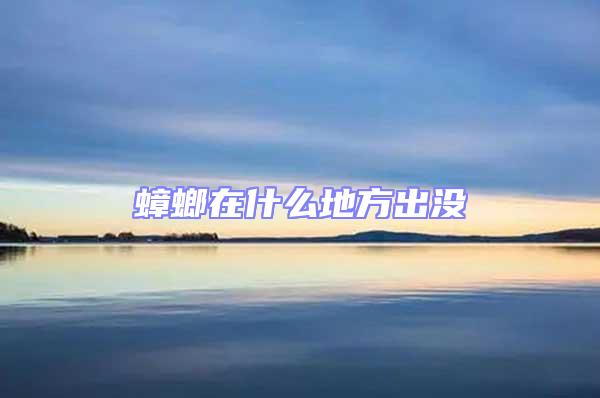 蟑螂在什么地方出沒(méi)