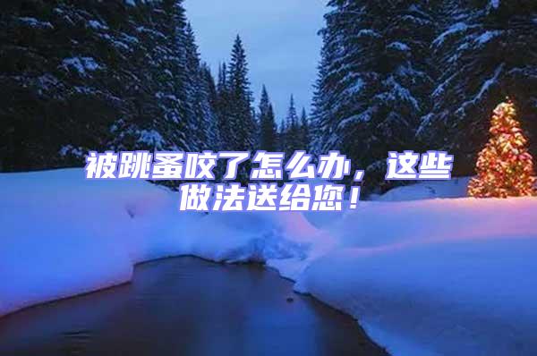 被跳蚤咬了怎么辦,這些做法送給您!