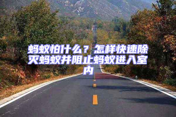 螞蟻怕什么？怎樣快速除滅螞蟻并阻止螞蟻進入室內