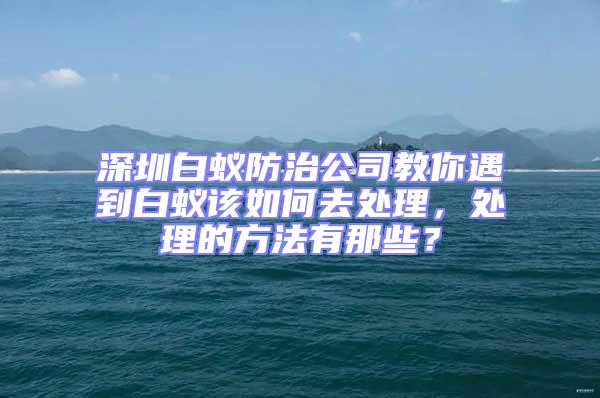 深圳白蟻防治公司教你遇到白蟻該如何去處理,處理的方法有那些?