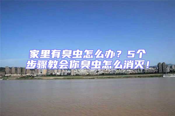家里有臭蟲怎么辦?5個步驟教會你臭蟲怎么消滅!