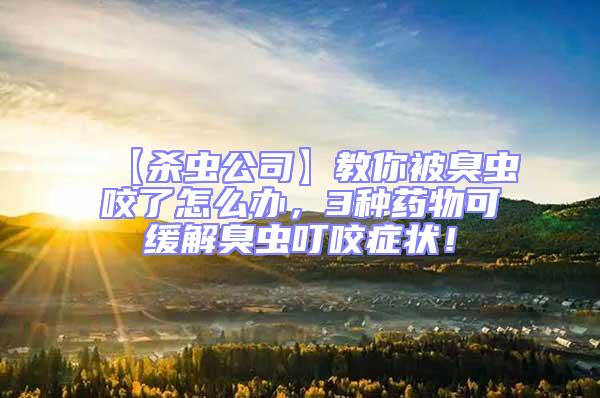 【殺蟲(chóng)公司】教你被臭蟲(chóng)咬了怎么辦,3種藥物可緩解臭蟲(chóng)叮咬癥狀!