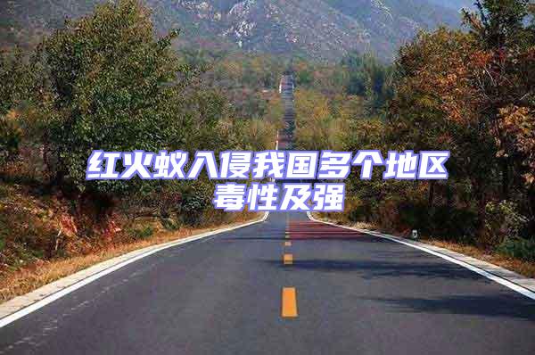 紅火蟻入侵我國多個地區(qū) 毒性及強