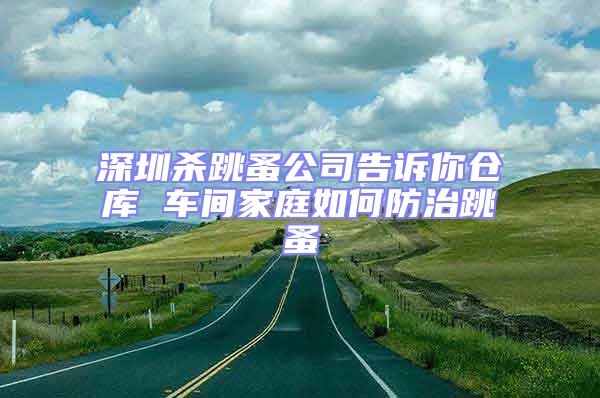 深圳殺跳蚤公司告訴你倉(cāng)庫(kù) 車(chē)間家庭如何防治跳蚤