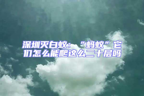 深圳滅白蟻:“螞蟻”它們?cè)趺茨芘肋@么二十層嗎