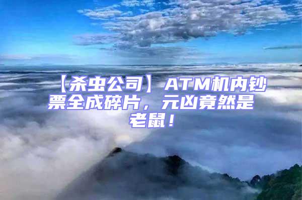 【殺蟲(chóng)公司】ATM機(jī)內(nèi)鈔票全成碎片,元兇竟然是老鼠!