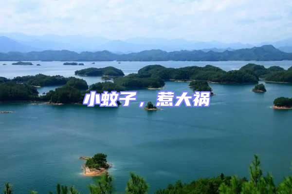 小蚊子，惹大禍