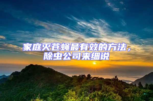 家庭滅蒼蠅最有效的方法，除蟲公司來細說