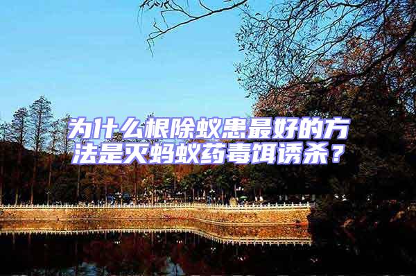 為什么根除蟻患最好的方法是滅螞蟻藥毒餌誘殺？