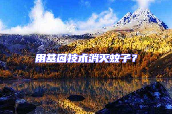 用基因技術(shù)消滅蚊子?