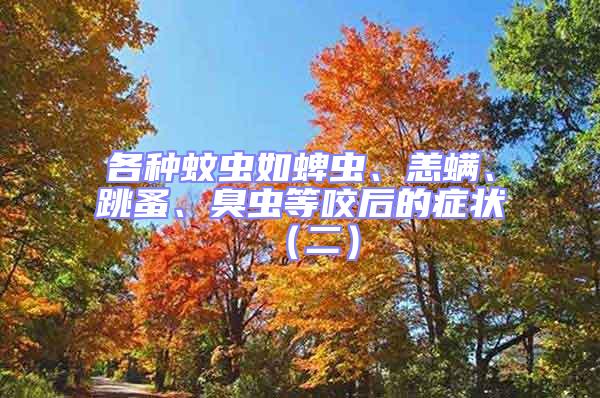 各種蚊蟲如蜱蟲、恙螨、跳蚤、臭蟲等咬后的癥狀（二）