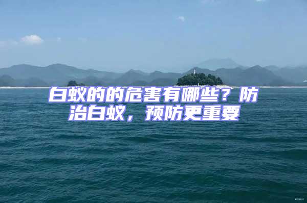 白蟻的的危害有哪些？防治白蟻，預(yù)防更重要