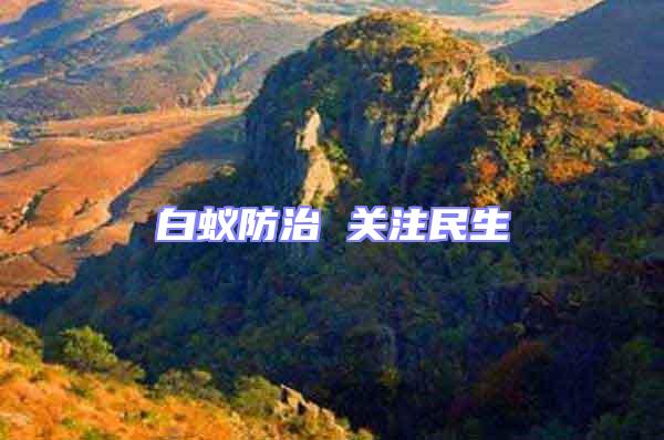 白蟻防治 關注民生