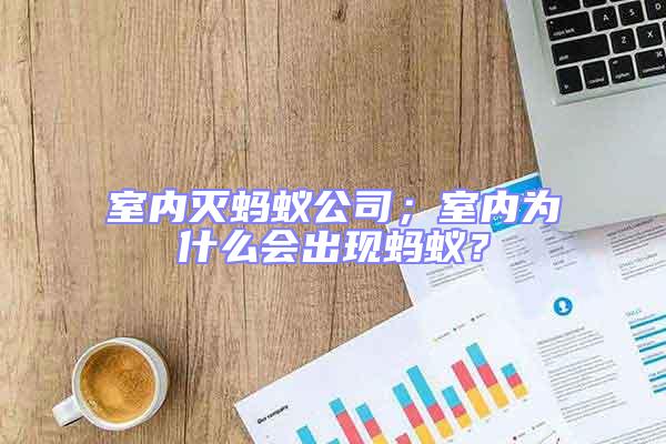 室內滅螞蟻公司；室內為什么會出現螞蟻？