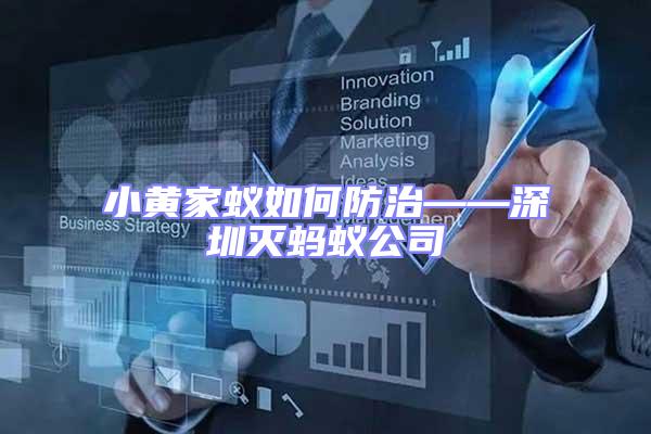 小黃家蟻如何防治——深圳滅螞蟻公司