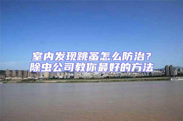 室內(nèi)發(fā)現(xiàn)跳蚤怎么防治?除蟲公司教你最好的方法