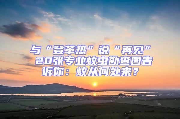 與“登革熱”說“再見” 20張專業(yè)蚊蟲勘查圖告訴你:蚊從何處來?