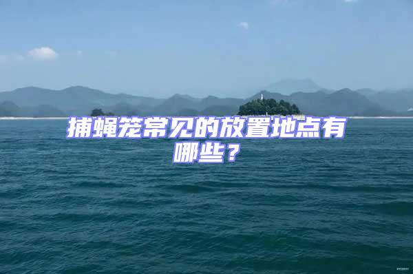 捕蠅籠常見的放置地點有哪些？