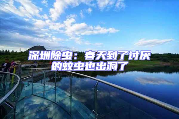 深圳除蟲:春天到了討厭的蚊蟲也出洞了