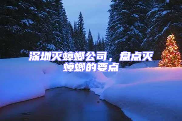 深圳滅蟑螂公司，盤點滅蟑螂的要點