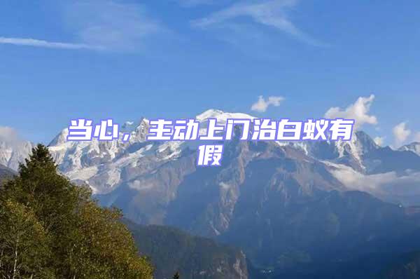 當心,主動上門治白蟻有假