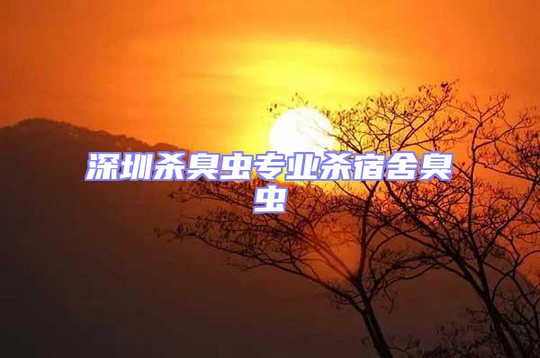 深圳殺臭蟲專業(yè)殺宿舍臭蟲