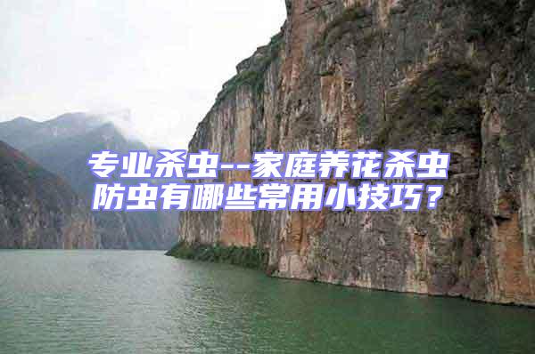 專業殺蟲--家庭養花殺蟲防蟲有哪些常用小技巧？