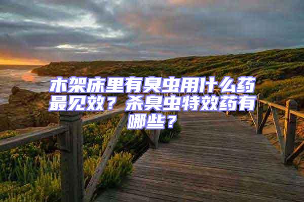 木架床里有臭蟲用什么藥最見效？殺臭蟲特效藥有哪些？