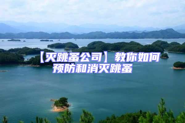 【滅跳蚤公司】教你如何預防和消滅跳蚤