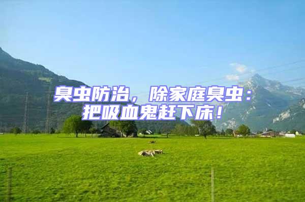 臭蟲防治，除家庭臭蟲：把吸血鬼趕下床！