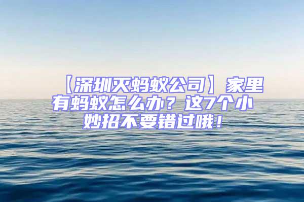 【深圳滅螞蟻公司】家里有螞蟻怎么辦？這7個小妙招不要錯過哦！
