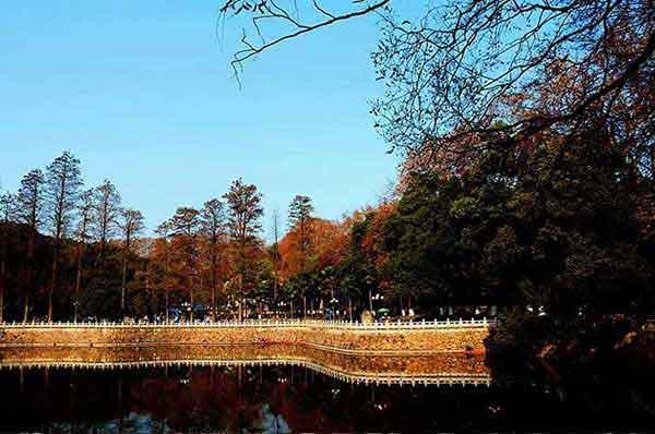 裝修白蟻頻出沒(méi)家里裝修需留心