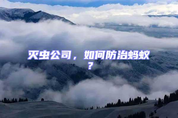 滅蟲公司,如何防治螞蟻?