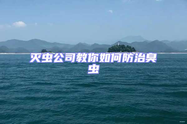 滅蟲(chóng)公司教你如何防治臭蟲(chóng)