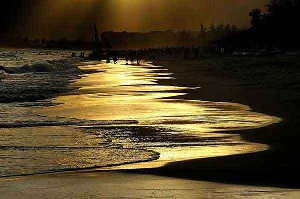 夏天來了,如何防止蚊蟲叮咬