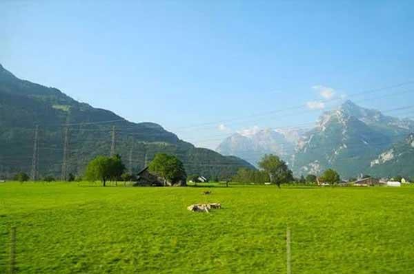 滅蚊蠅公司為大家介紹的相關(guān)于深圳有哪些種類(lèi)的螞蟻