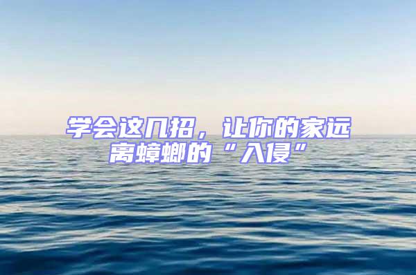 學會這幾招，讓你的家遠離蟑螂的“入侵”