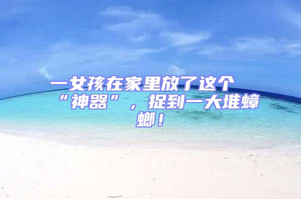 一女孩在家里放了這個(gè)“神器”，捉到一大堆蟑螂！