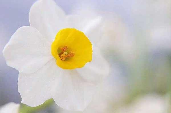 【除臭蟲公司】為什么臭蟲能耐得住“饑寒交迫”？