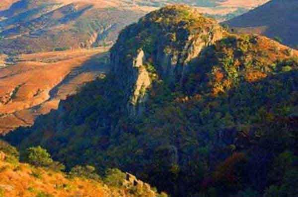 讀《中國有害生物防治通訊》2012年第3期<滅鼠指南(7)>的一點(diǎn)感想