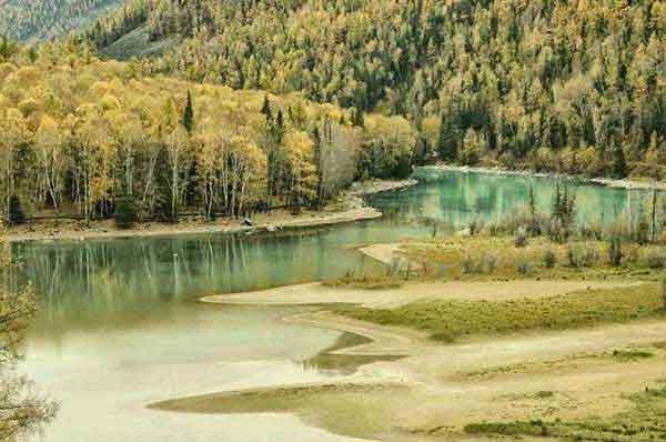 深圳殺蟲(chóng)公司給你最專(zhuān)業(yè)的殺蟲(chóng)服務(wù)