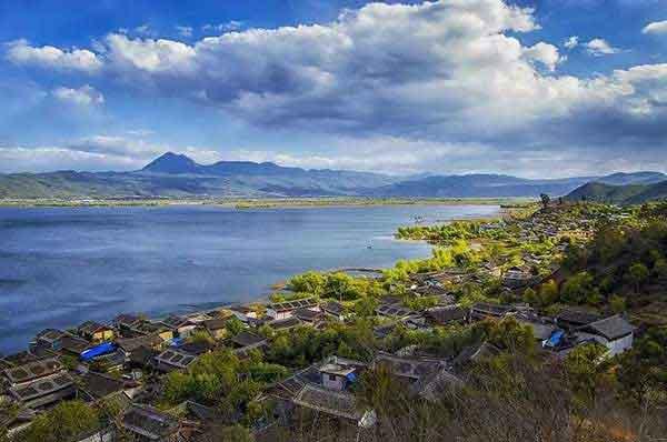 深圳滅螞蟻公司提示如何正確防治螞蟻？