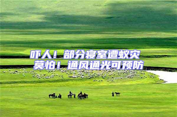 嚇人！部分寢室遭蟻災 莫怕！通風通光可預防