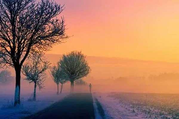 為什么蚊子永遠不會被雨砸死？別被孩子問住了