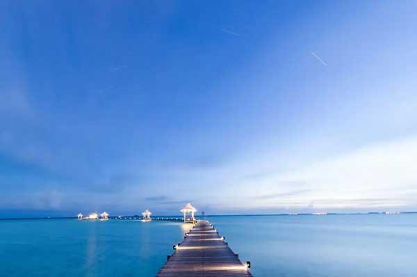 草坪上為什么要裝太陽能滅蚊燈？